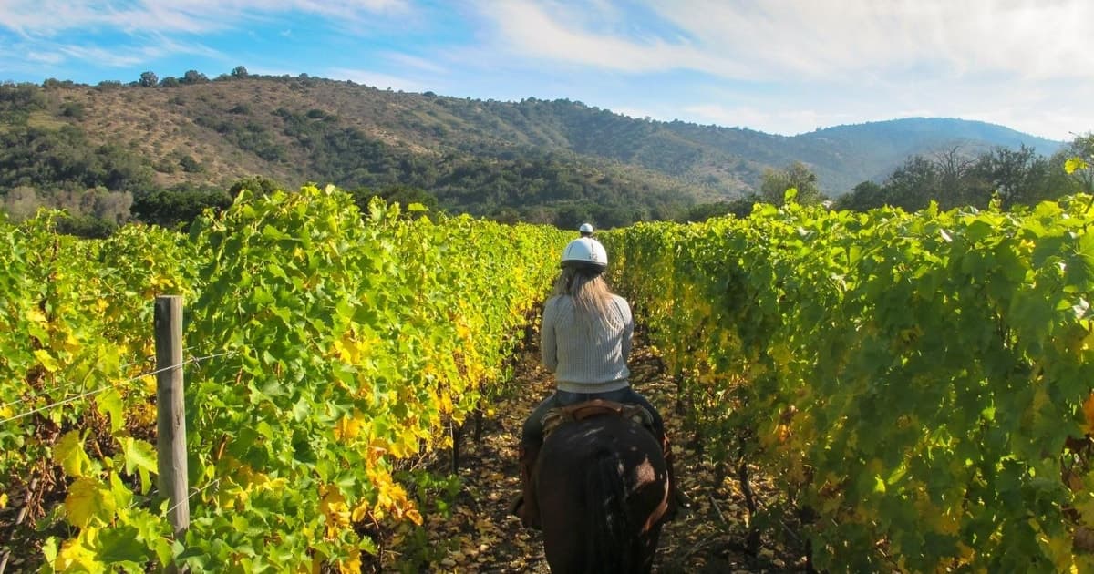 Tuscany: Horseback Riding Adventure with Lunch in a Winery