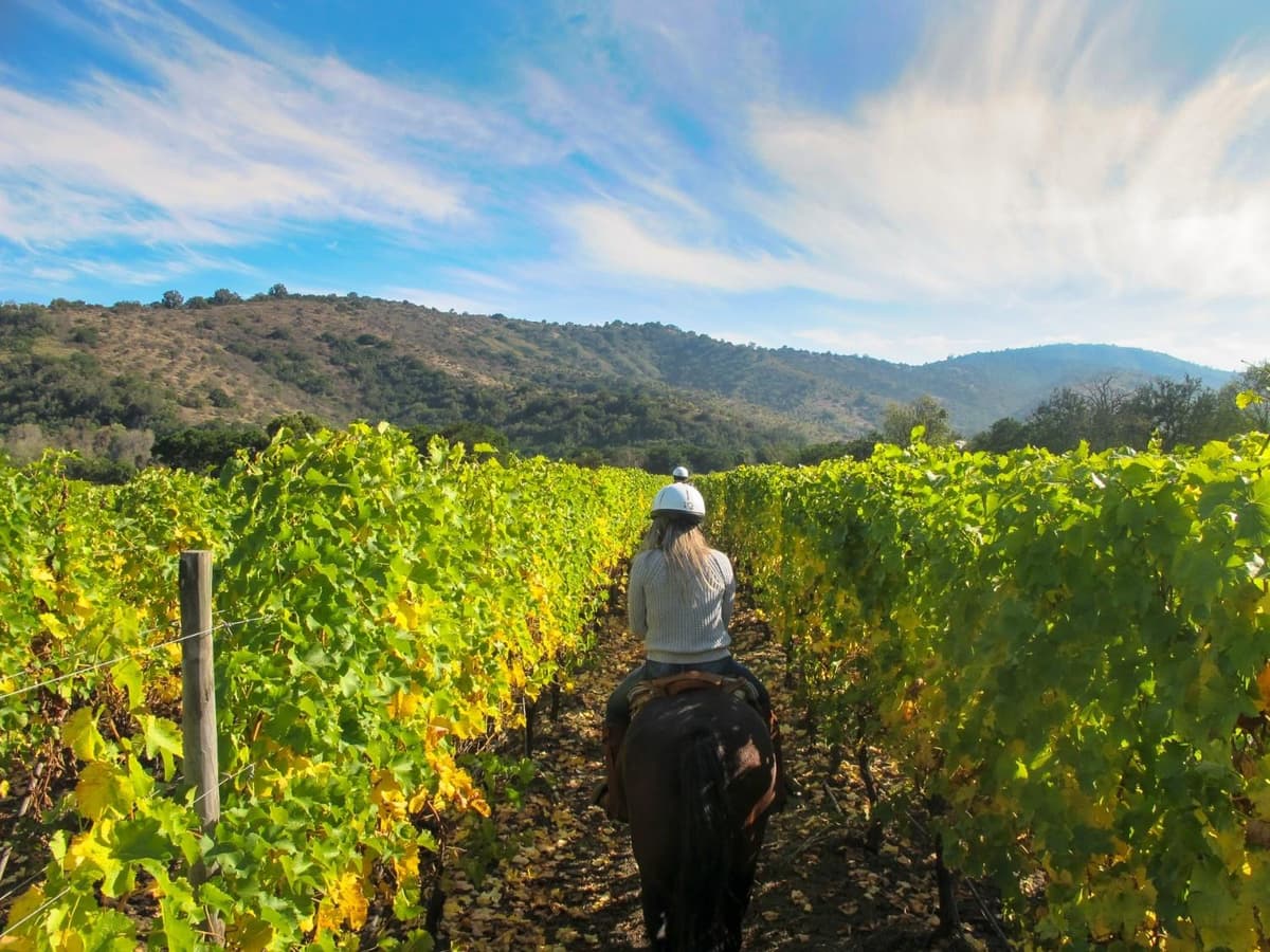 Tuscany: Horseback Riding Adventure with Lunch in a Winery