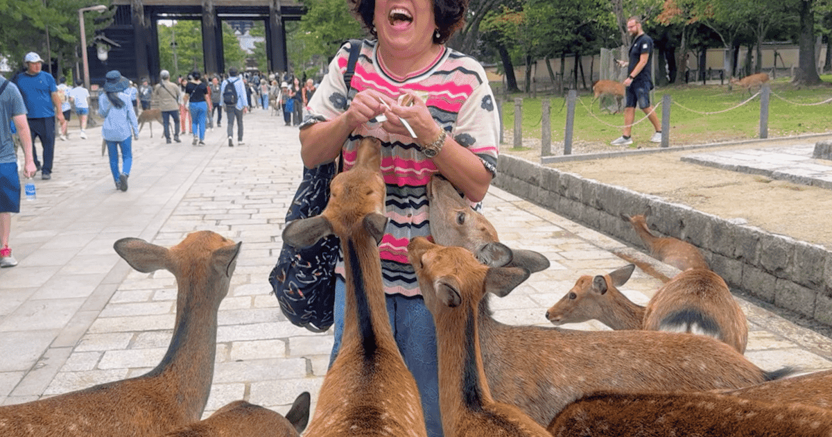 Kioto: tour en autobús por Nara y experiencia tradicional del matcha