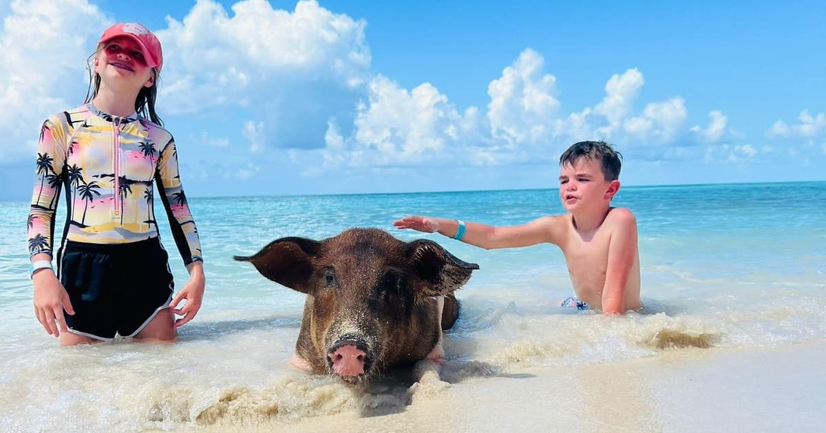 Nassau: Half-Day Swimming Pigs, Reef Snorkel & Beach Club