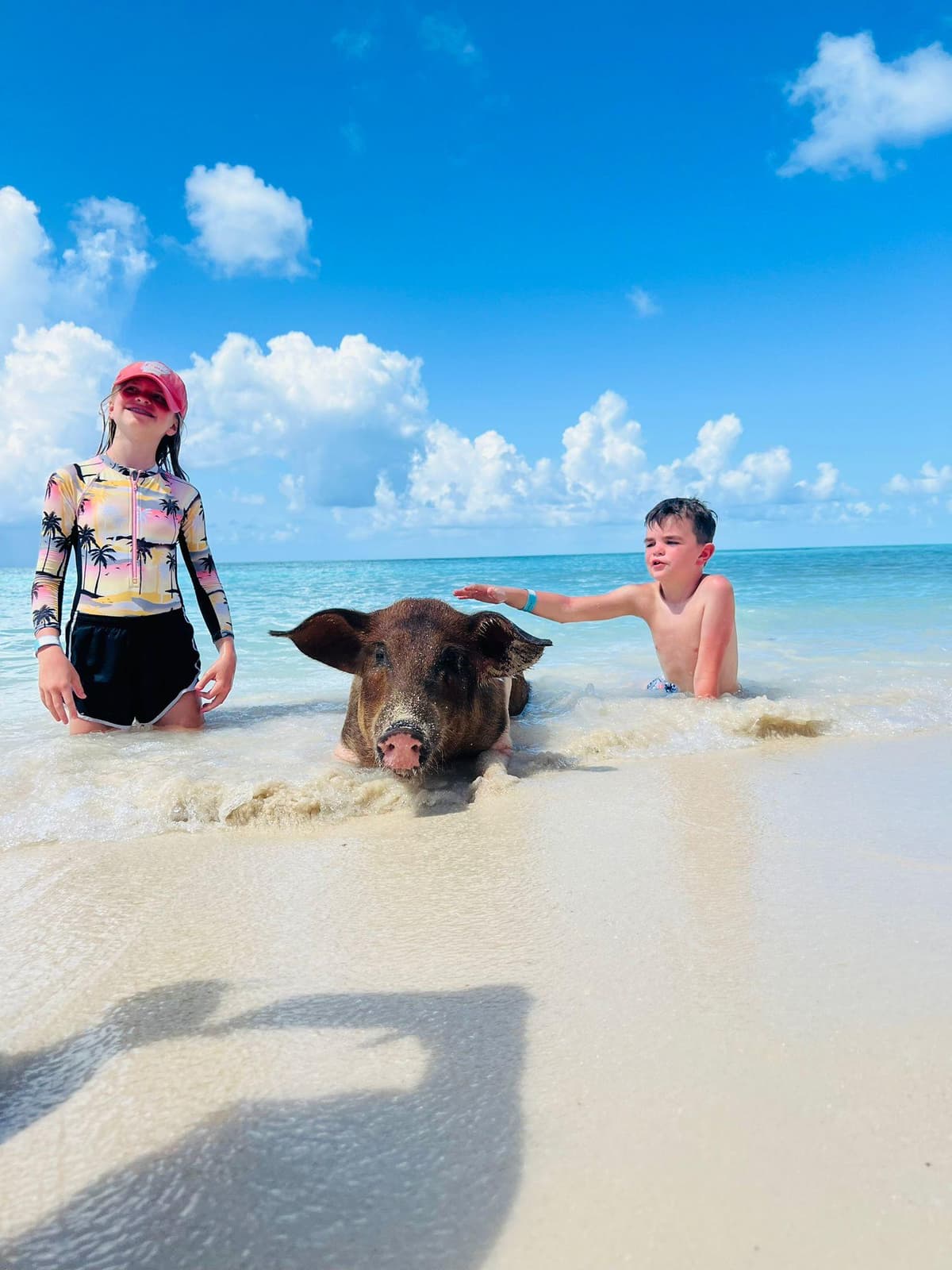 Nassau: Half-Day Swimming Pigs, Reef Snorkel & Beach Club