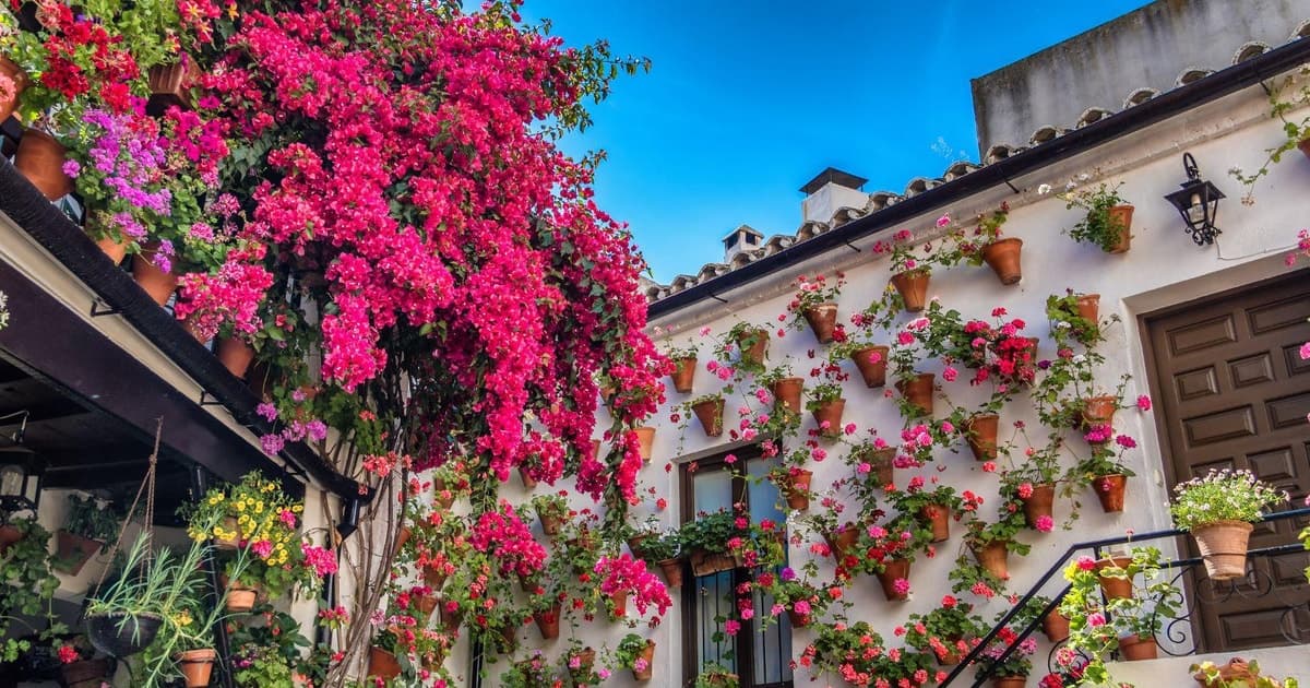 Discover the Wonders of Cordoba from Malaga