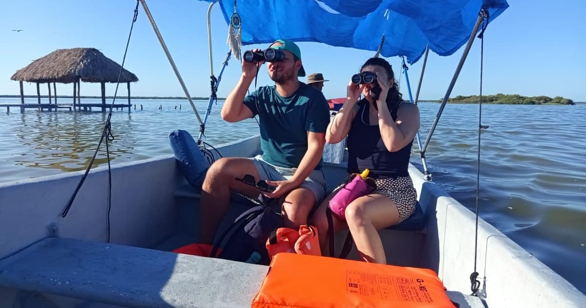 Isla Contoy: Snorkel y naturaleza, experiencia educativa y guía certificado