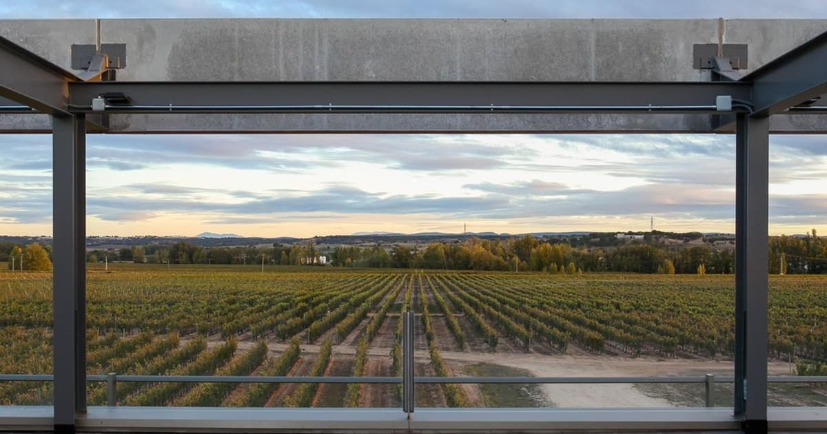 Aranda de Duero: Bodega Martín Berdugo – Visita y Cata