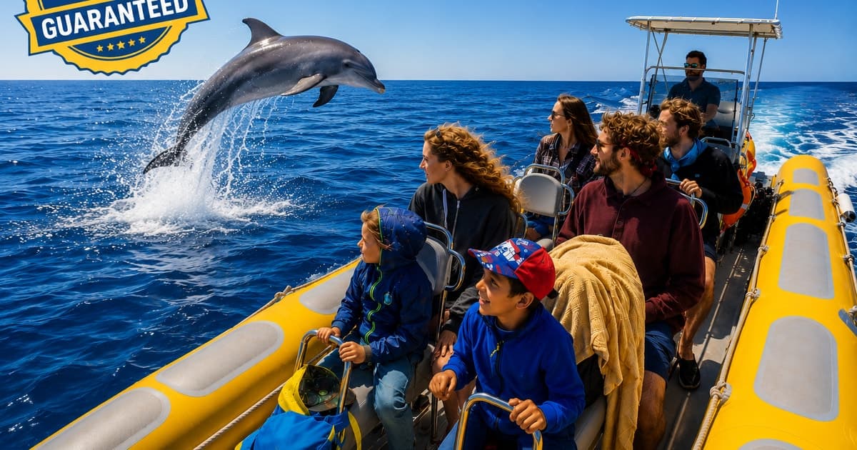 Can Picafort: tour en barco para avistar delfines, parada para nadar