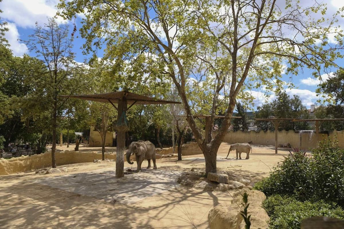 Lisbon: Visit the Zoo and take a Tagus River Cruise