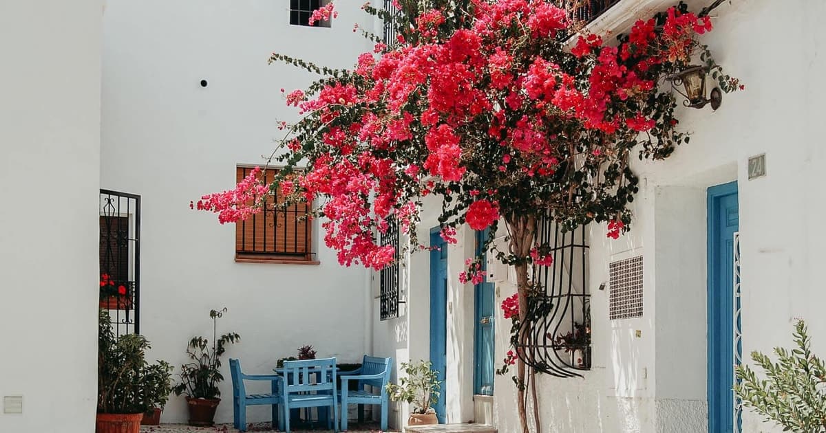 Desde Valencia: excursión de 1 día a Altea, Guadalest y la playa
