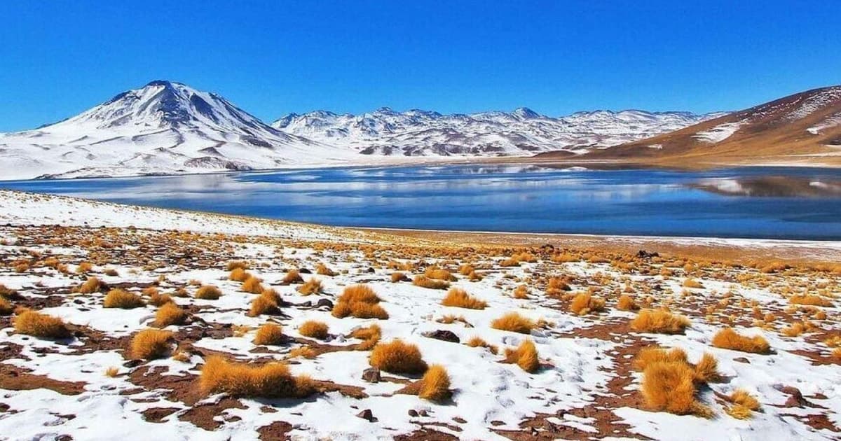 Atacama: Tour de Piedras Rojas, Socaire y Lagunas Altiplánicas