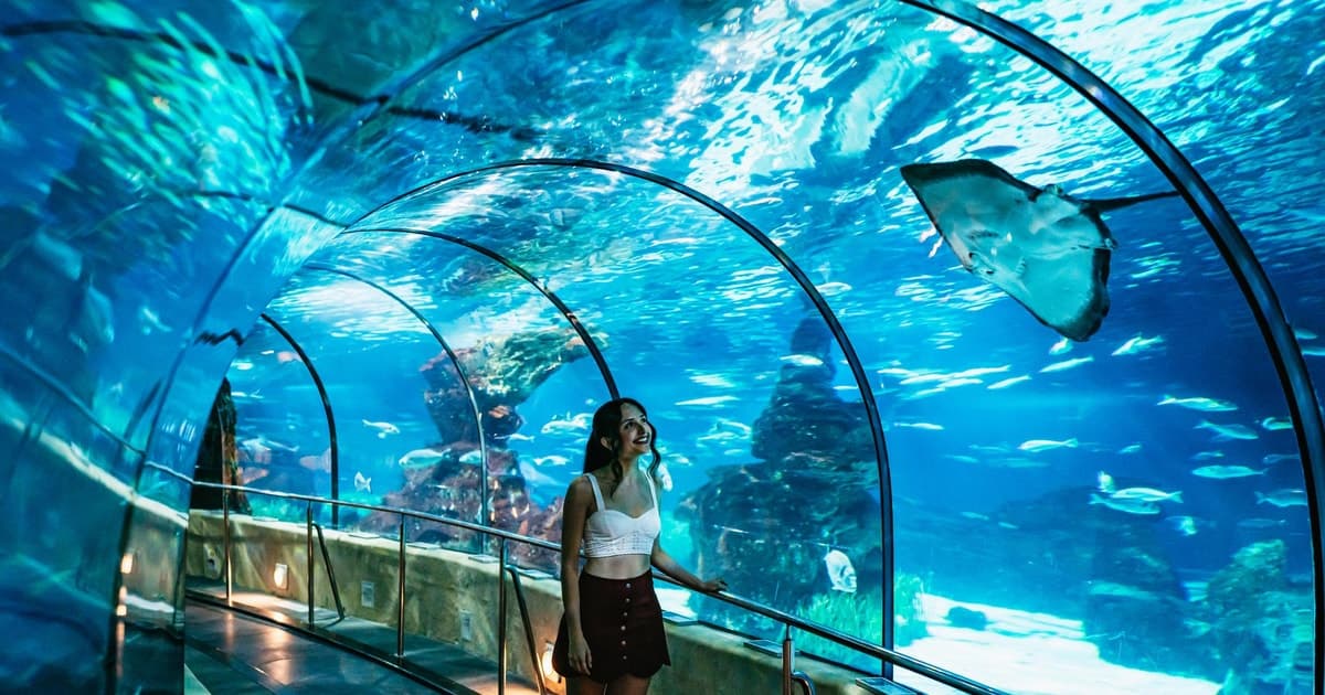 Acuario de Barcelona: ticket de acceso