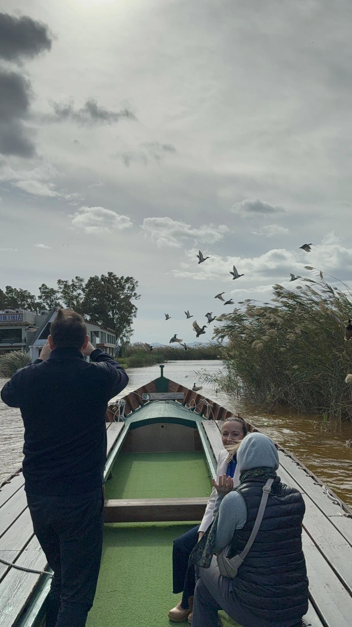 Albufera Valencia: Paseo guiado en barca eléctrica, también puesta de sol