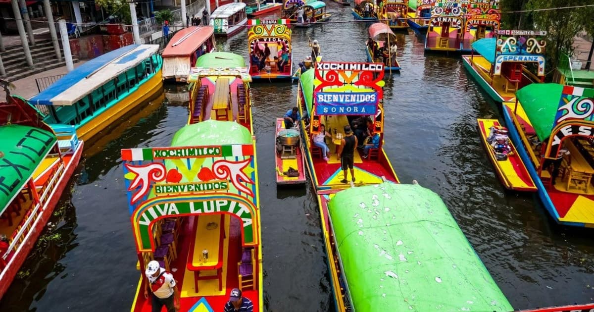 Ciudad de México: tour por Coyoacán, Xochimilco y la Ciudad Universitaria