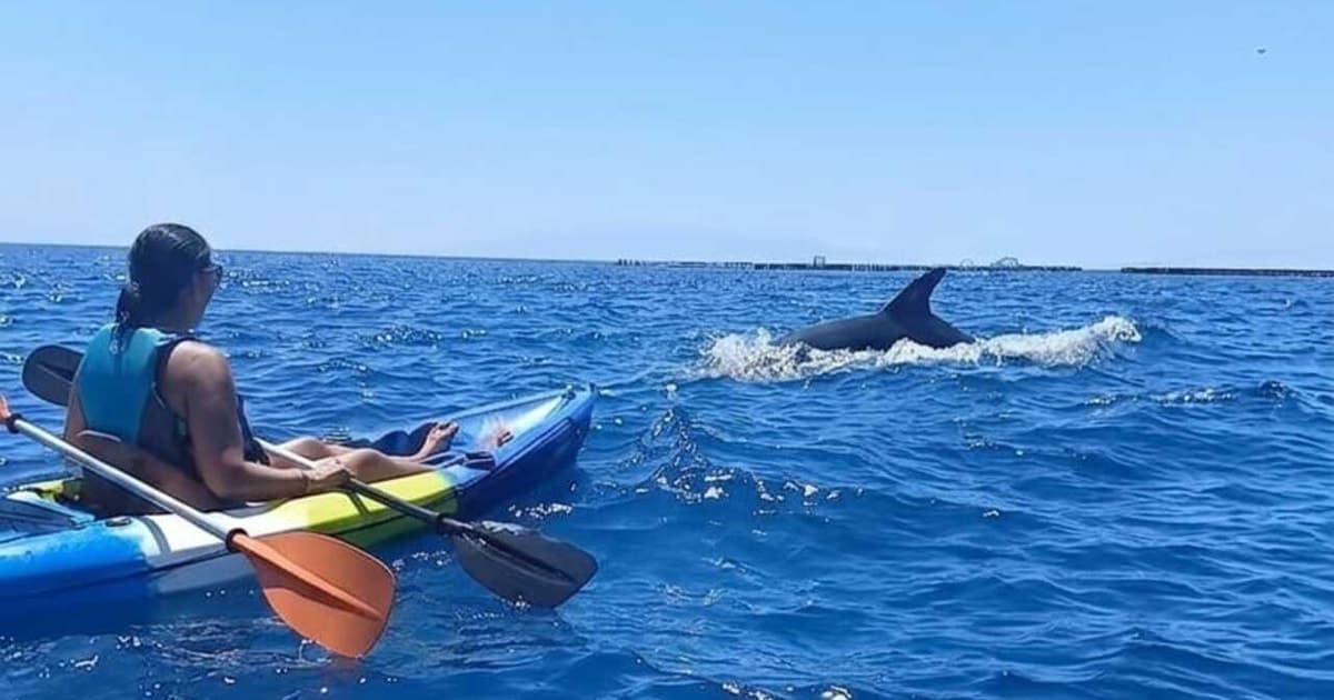 Los Cristianos: kayak, naturaleza salvaje y esnórquel entre acantilados