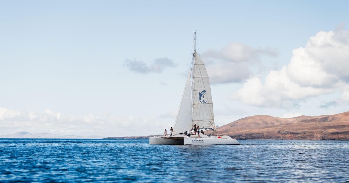Experiencia al atardecer en Lanzarote con avistamiento de delfines