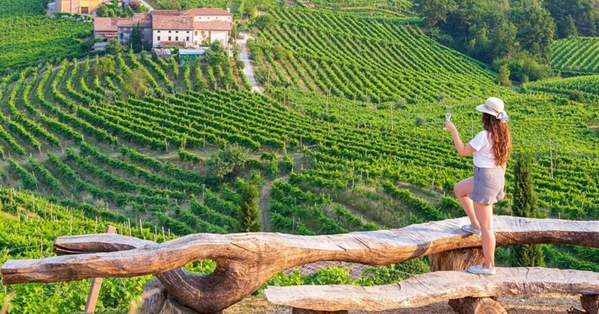 From Venice: Wine and Food tour in the Prosecco Hills