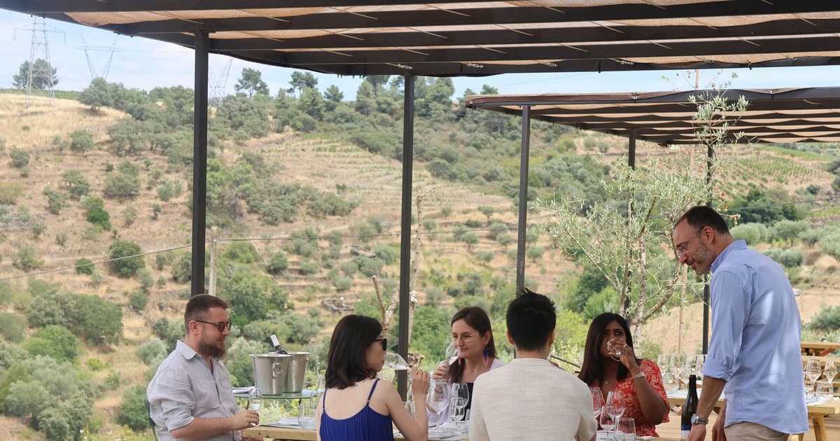 Porto: DOURO VALLEY Half-day Tour