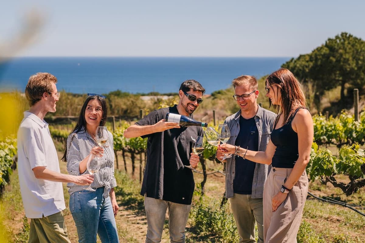 Barcelona: Crucero en velero y visita a viñedos con cata de vinos