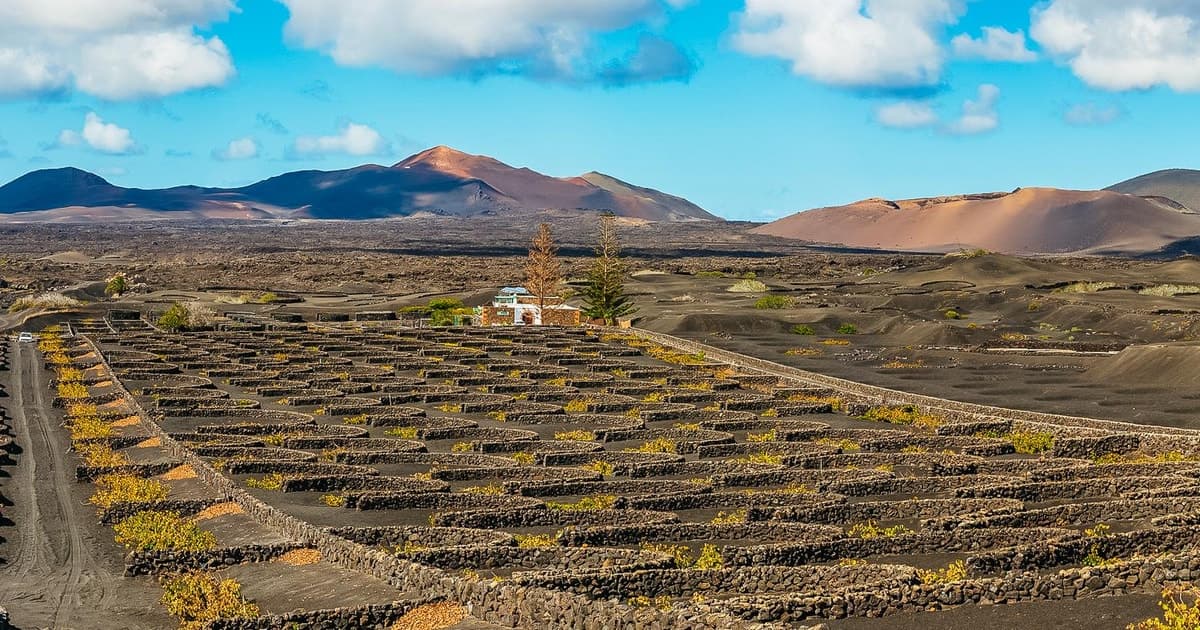 Arrecife: Timanfaya y Laguna Verde para cruceristas