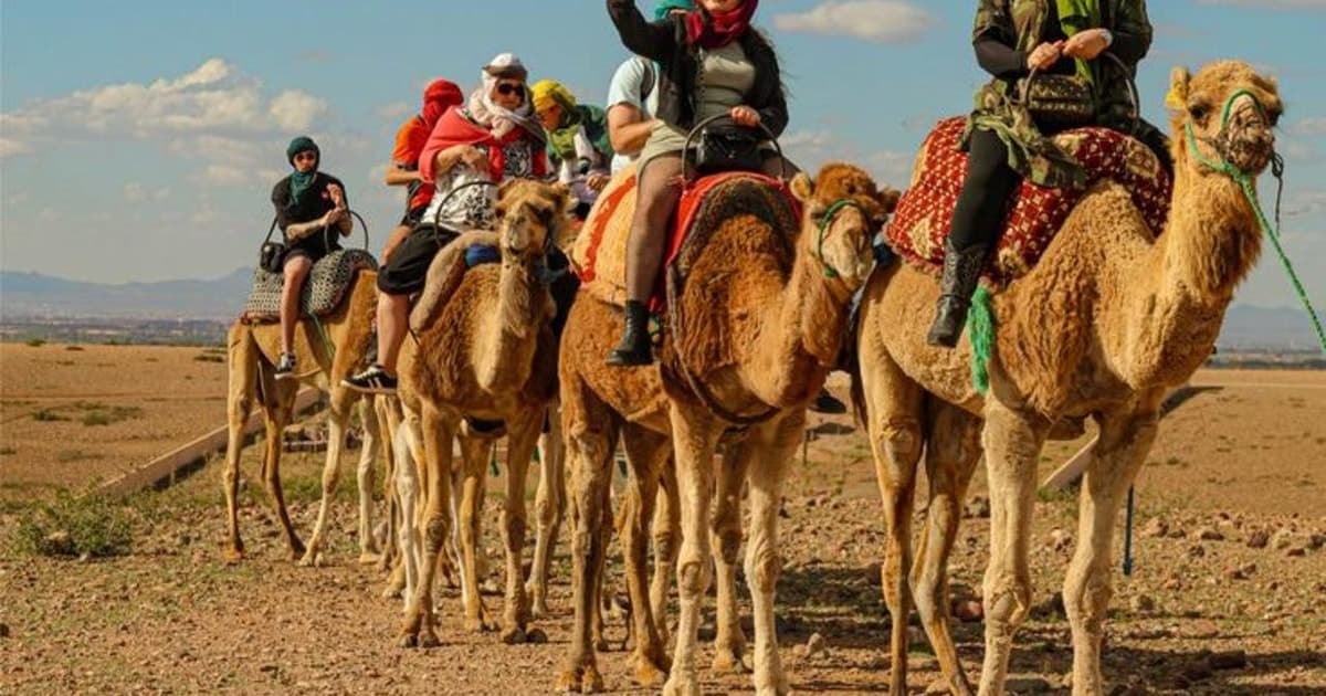 Marrakech: paseo en camello por el desierto de Agafay, cena y espectáculo