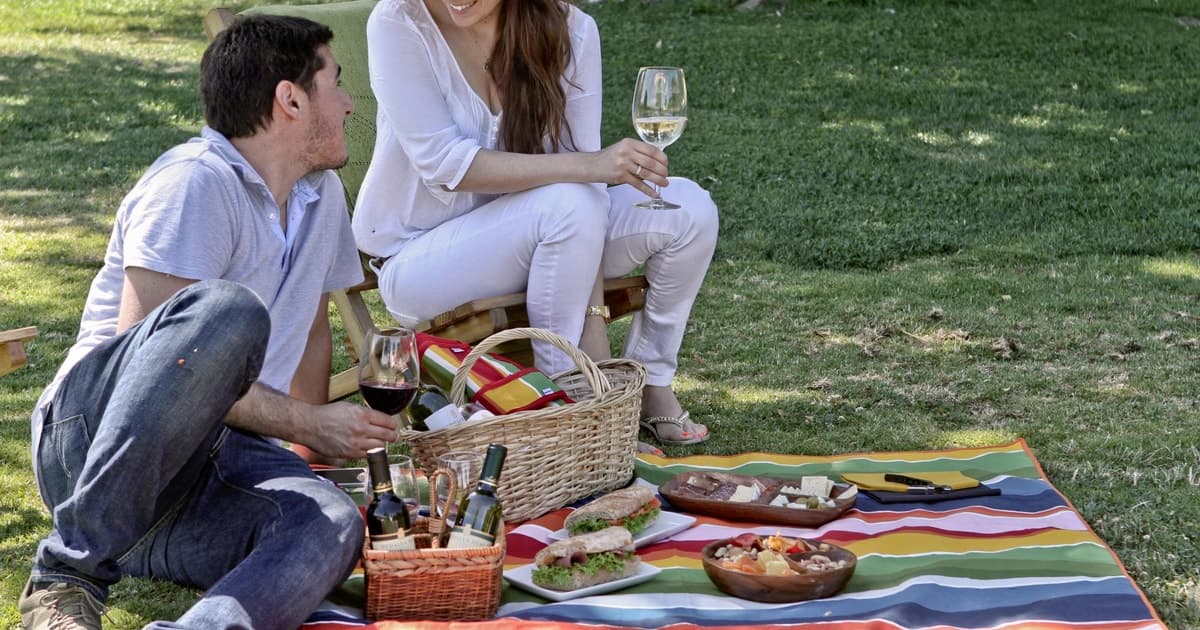 Excursión a los Viñedos de Santa Rita: Historia, vino y picnic al aire libre