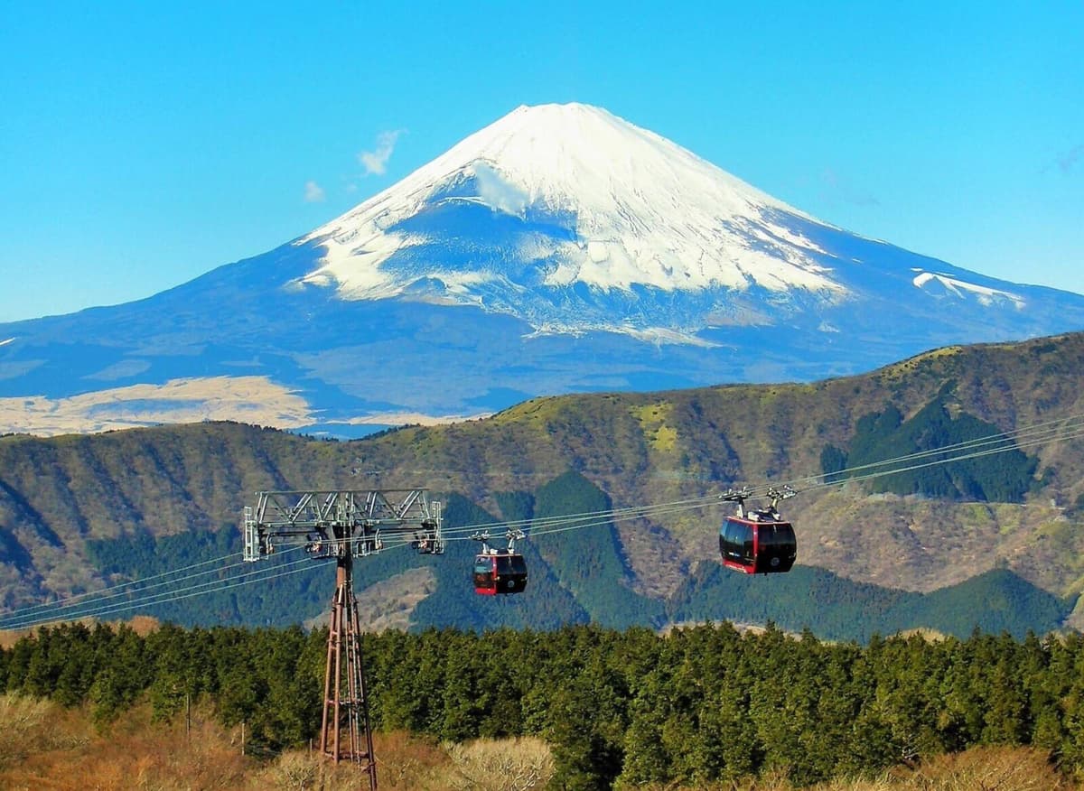 From Tokyo: Hakone Day Trip with Lake Ashinoko Boat Cruise