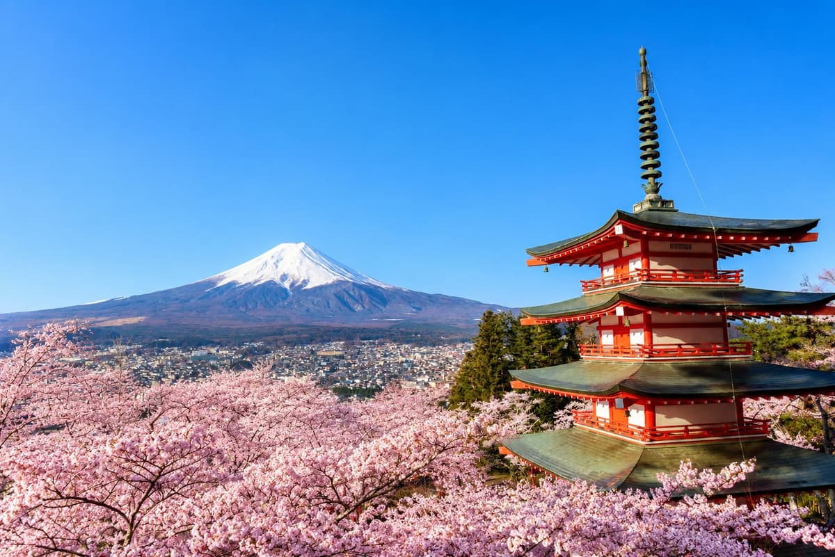 Mt. Fuji,Arakurayama,Hikawa clock shop,Oishi Park,Kawaguchi