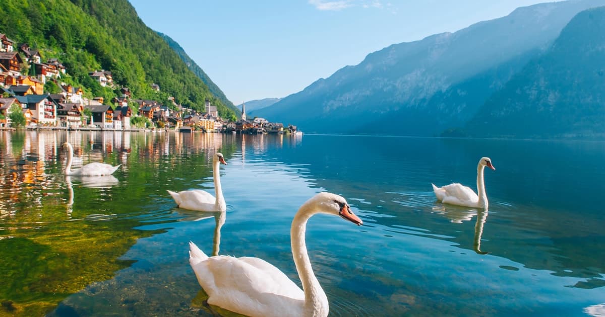 Vienna: Hallstatt, Salzburg and Mountains Lakes Tour