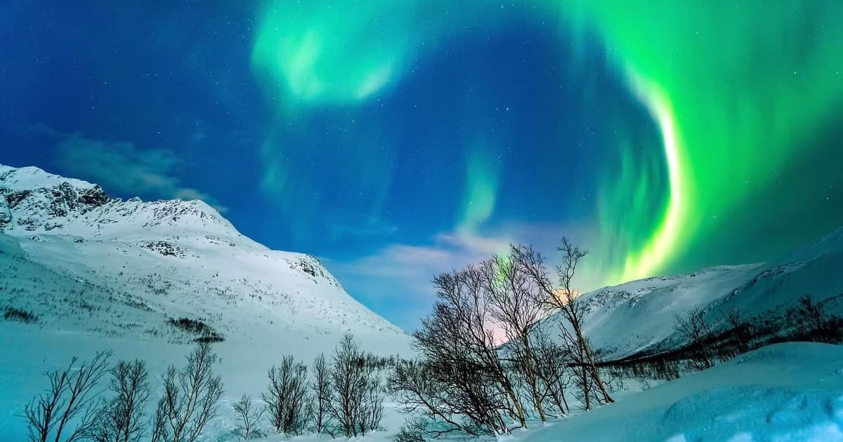 Búsqueda VIP de la aurora boreal con comida junto a la hoguera y minibús