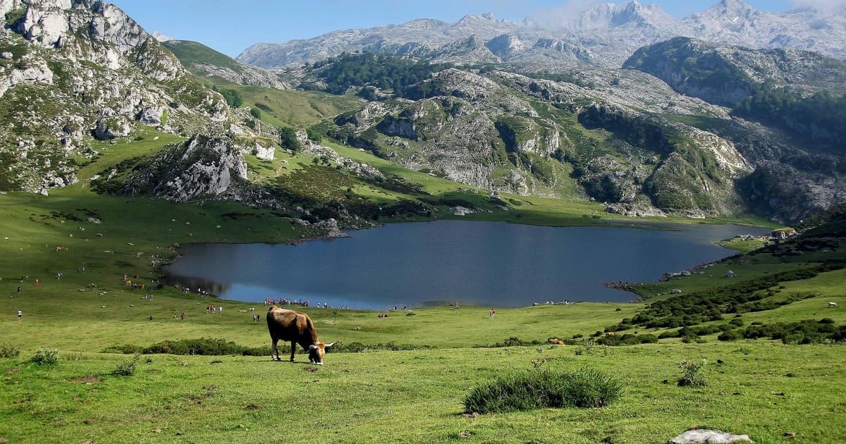 Excursión a los lagos de Covadonga, Cangas de Onís en grupo reducido
