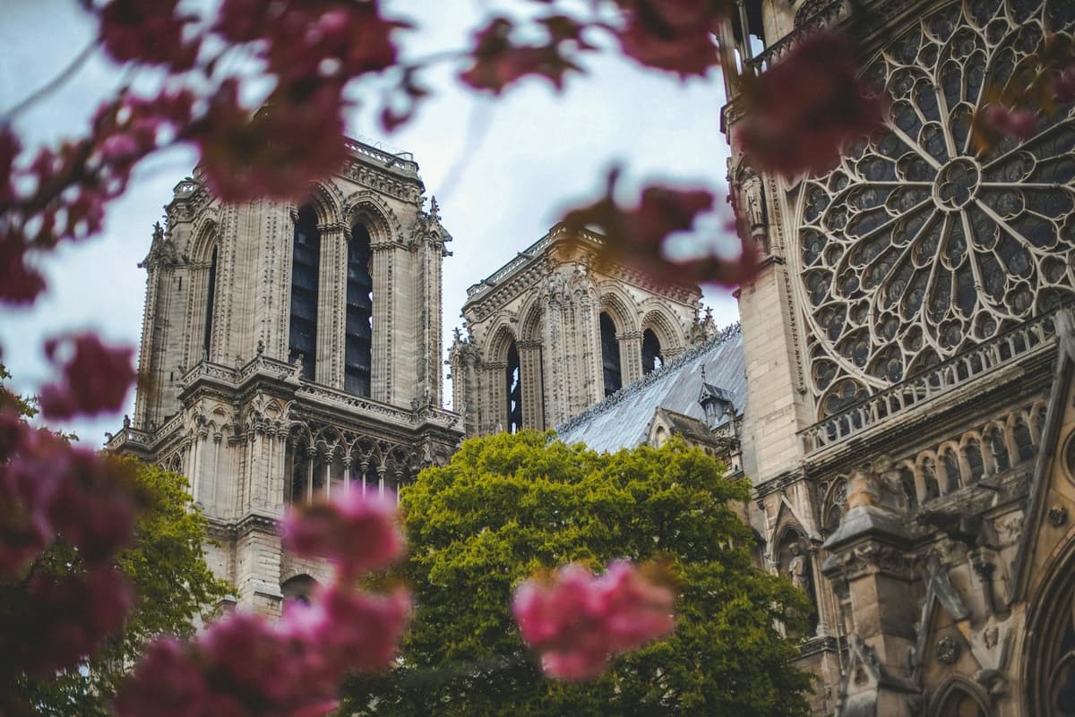 Paris: Ste-Chapelle, Conciergerie, Notre Dame Private Tour