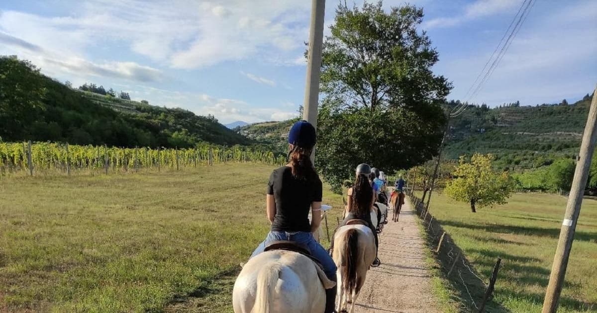 Horseback Riding with Amarone Wine Tasting in Verona