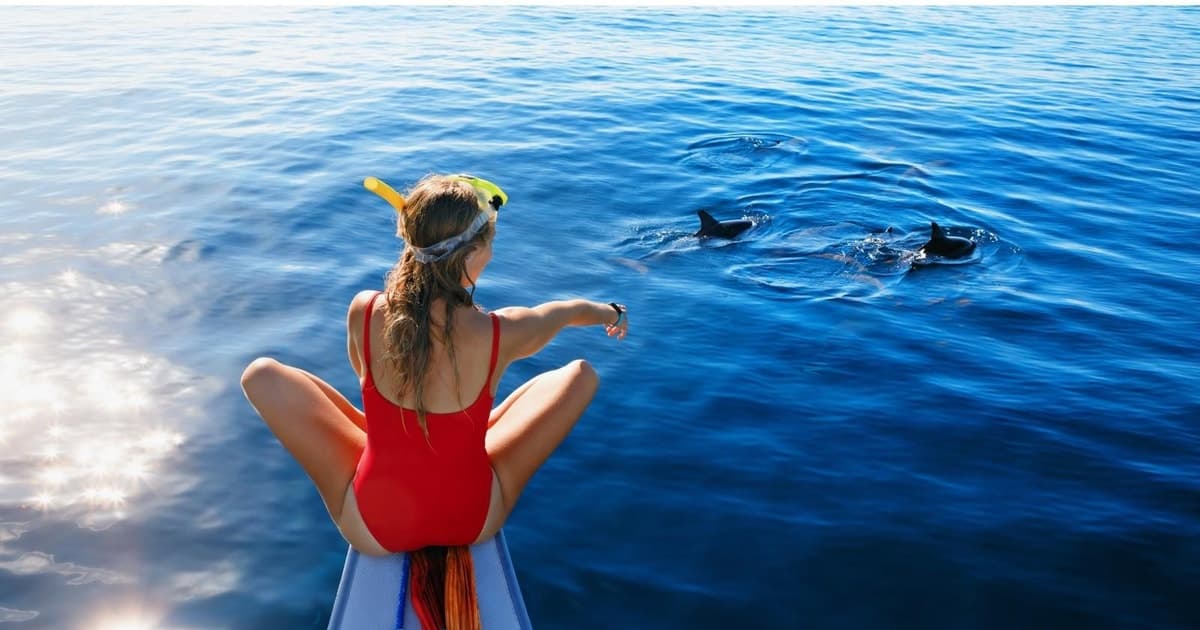 Tour de aventura al amanecer con delfines en la costa norte