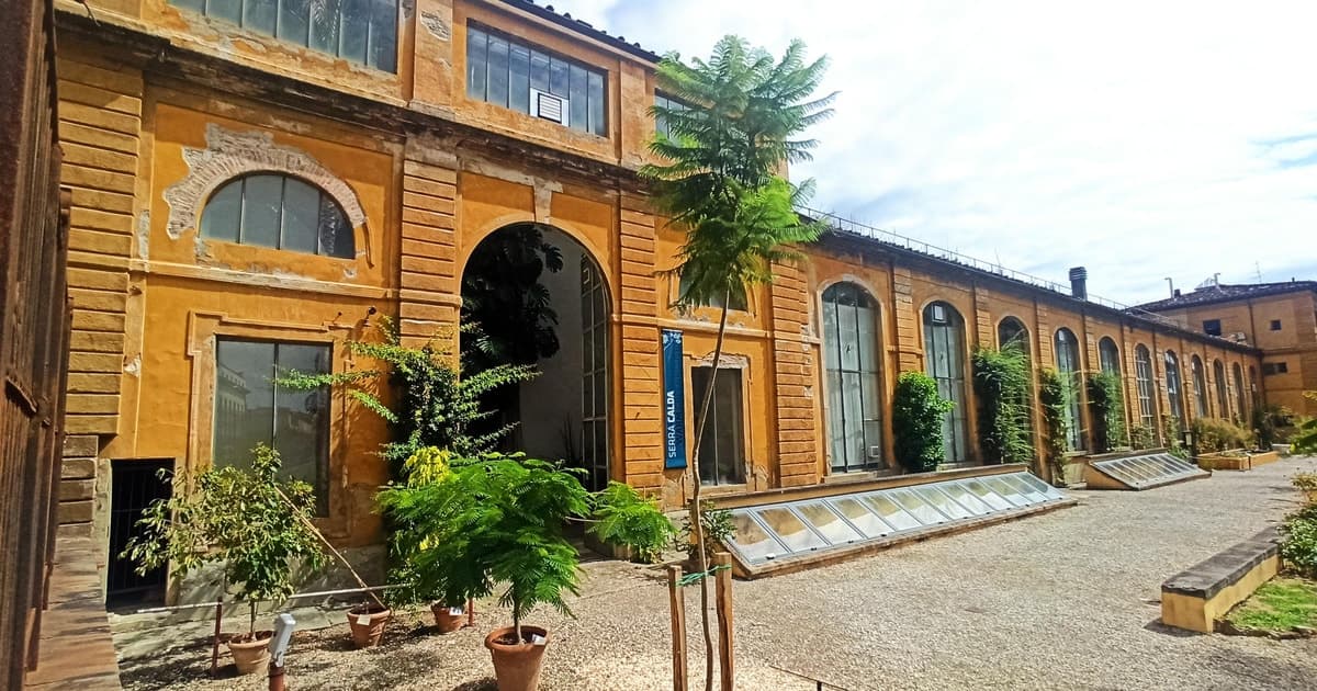 Florence: Natural History Museum Tour with Gelato Stop