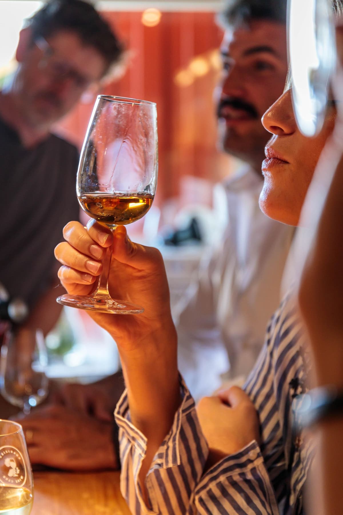Lisbon: Carcavelos Vineyard Tour and Wine Tasting