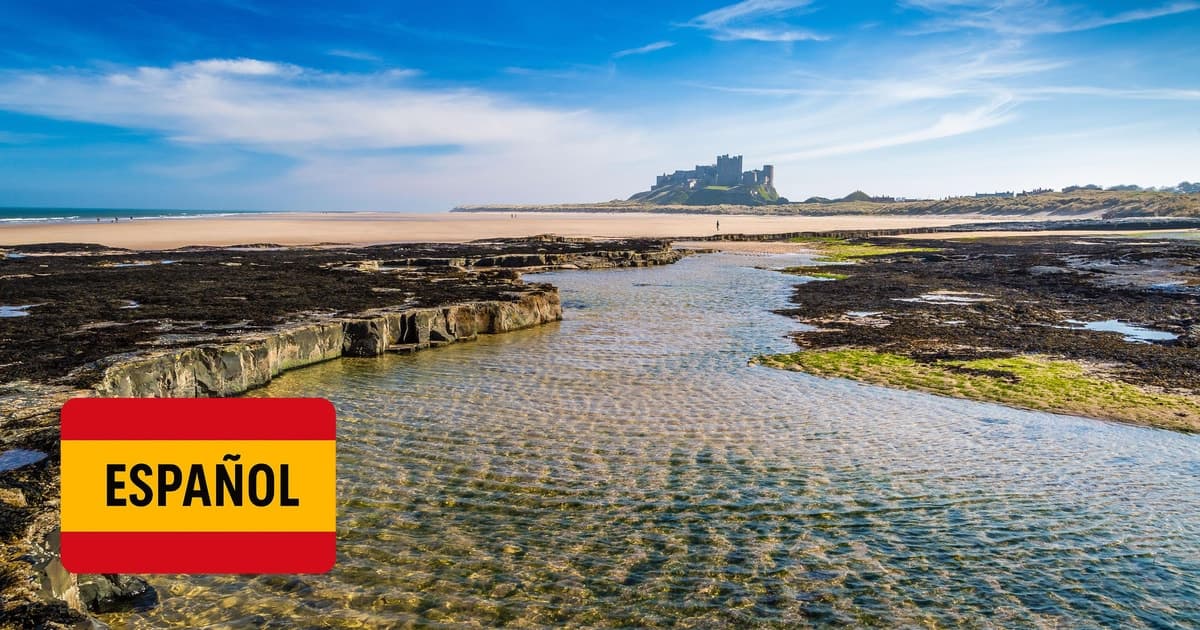 Edimburgo: tour Harry Potter y castillos ingleses en español