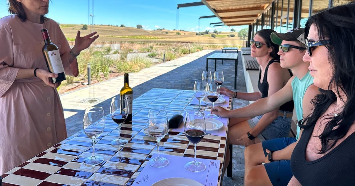 Ribera del Duero Tour: De Madrid a Ribera del Duero - almuerzo incluido