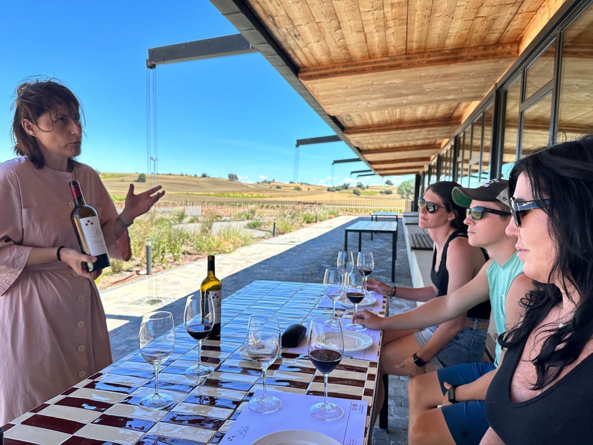 Ribera del Duero Sightseeing Tour: From Madrid to the Ribera del Duero - lunch included