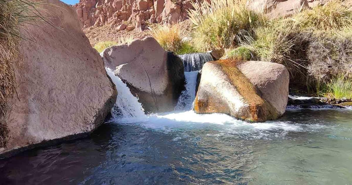 San Pedro de Atacama: excursión de 1 día a las termas de Puritama