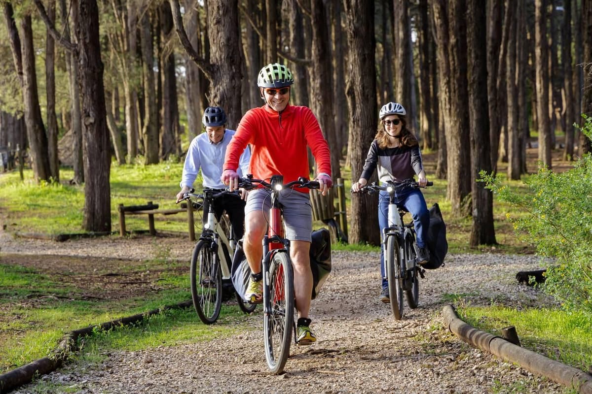 Lisbon: E-bike tour to Belém & Monsanto Forest Park