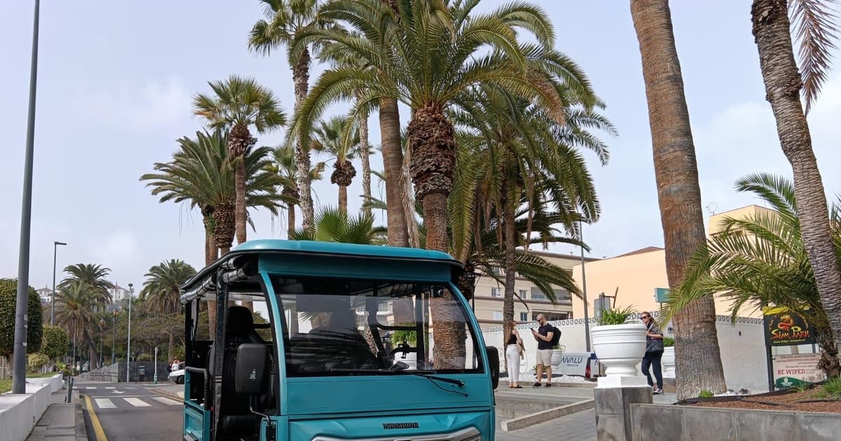 Norte Exprés: Ruta Clásica en Puerto de la Cruz, Tenerife en Tuktuk (1 hr)