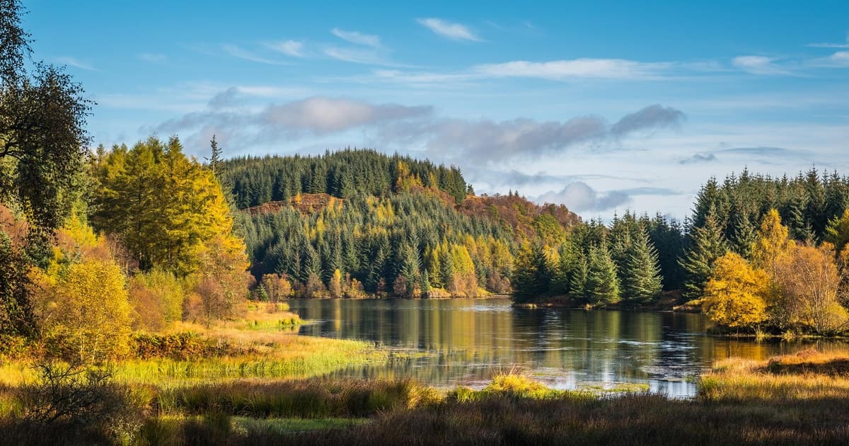 Loch Lomond, Stirling Castle & Kelpies Tour from Edinburgh