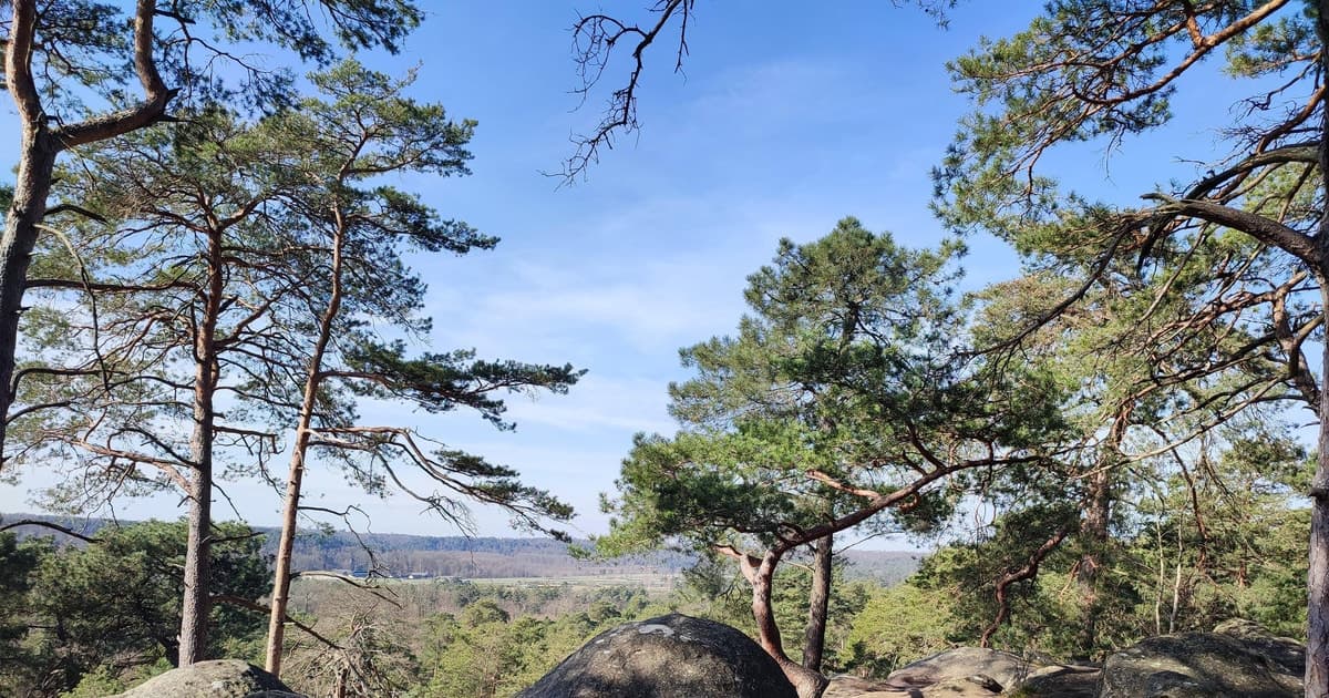 Hiking Adventure in the Fontainebleau Forest