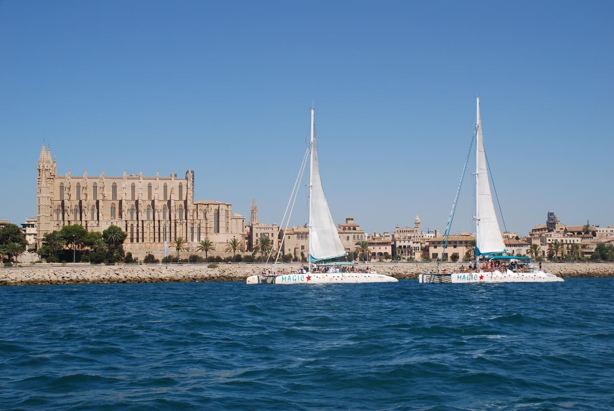 Palma de Mallorca: crucero en catamarán de 3,5 horas con tapas y baño