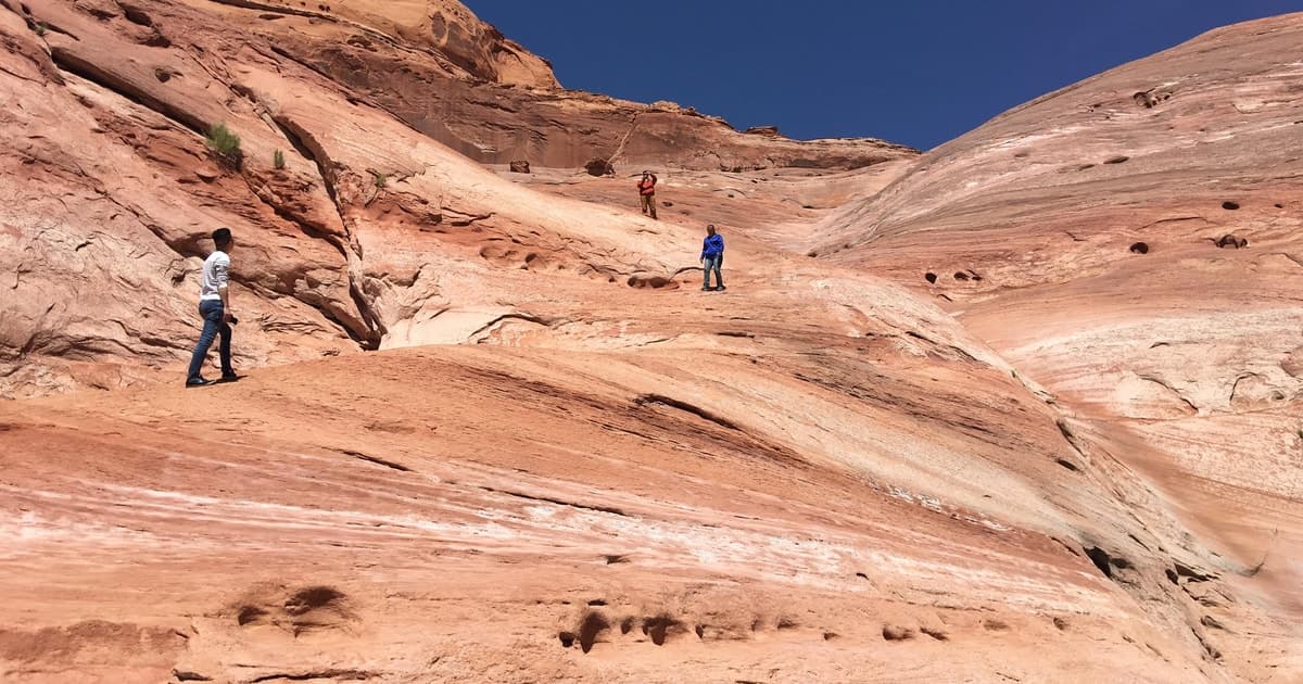 Vegas: Valley of Fire Half Day Tour/Optional Guided Hike