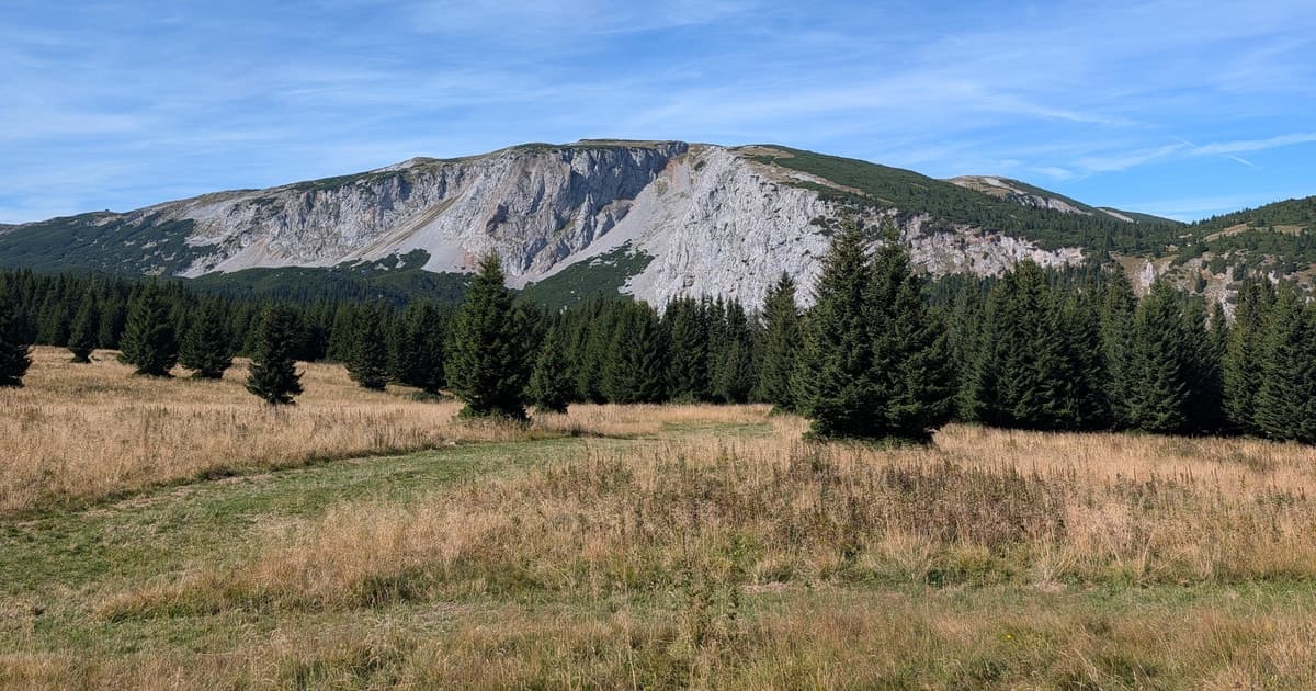 Vienna: Relaxed Scenic Alpine Cable Car Day Trip & Transfer
