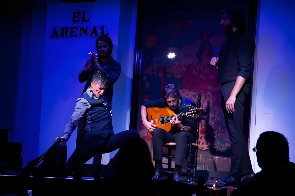 Flamenco Show at Tablao El Arenal