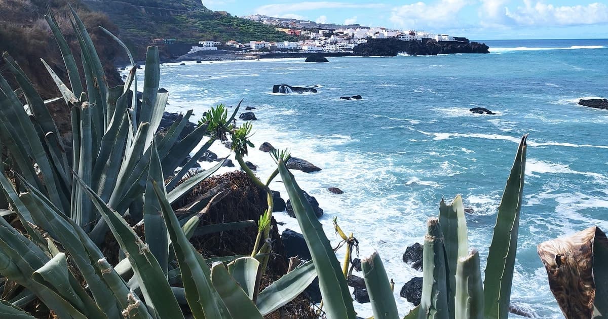 Ruta a pie 90 min con vistas a barranco Ruiz , tenerife