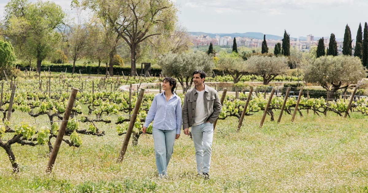 Barcelona-Penedès: visita a la bodega Familia Torres con tapas