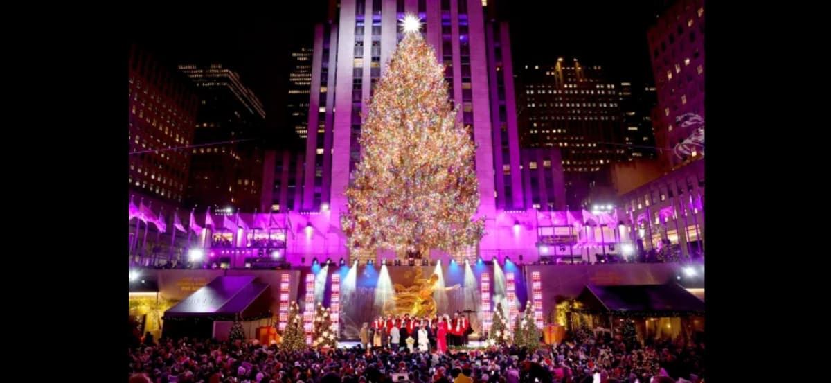 NYC Christmas Lights Tour: Heated Rickshaw Ride