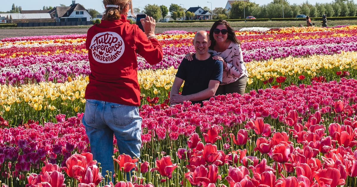 From Amsterdam: Keukenhof Gardens & Tulip Experience Tour