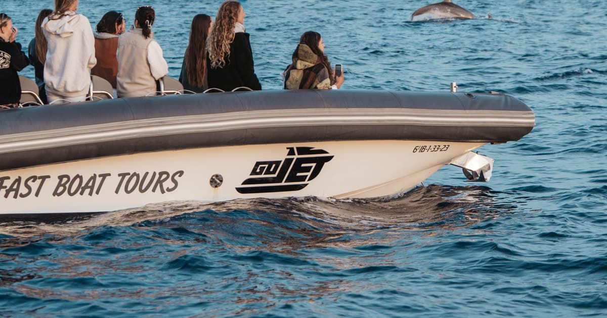 Barco PREMIUM semiprivada: Avistamiento delfines (100% garantizado) y cueva